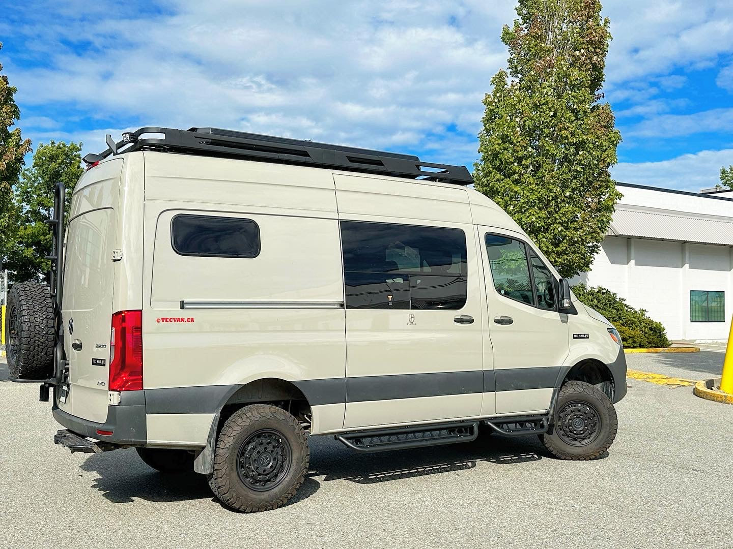 Tec Vanlife Drop Down Running Boards - Sprinter