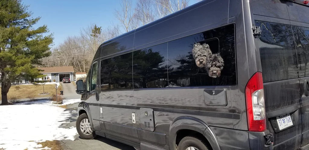 AM Auto - Promaster - Driver Side - Rear Window - Half Slider w/ Screen  - 159" & 159" EXT WB