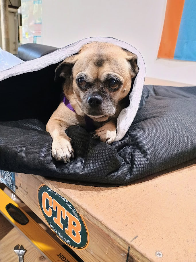 3M Thinsulate (AU4002-5) Acoustic & Thermal Insulation