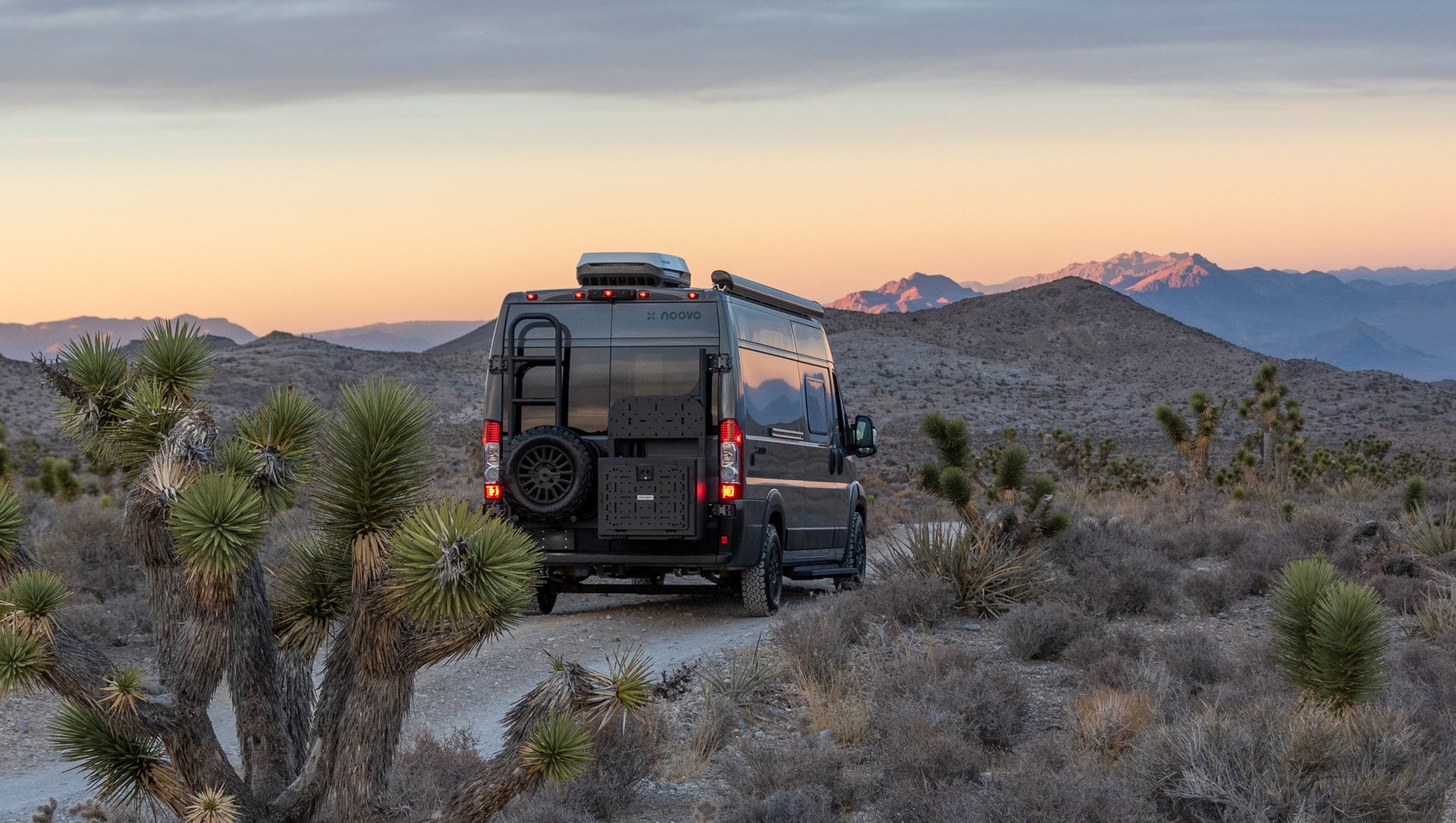 Rover Vans Ladder & Tire Carrier (Ram Promaster)