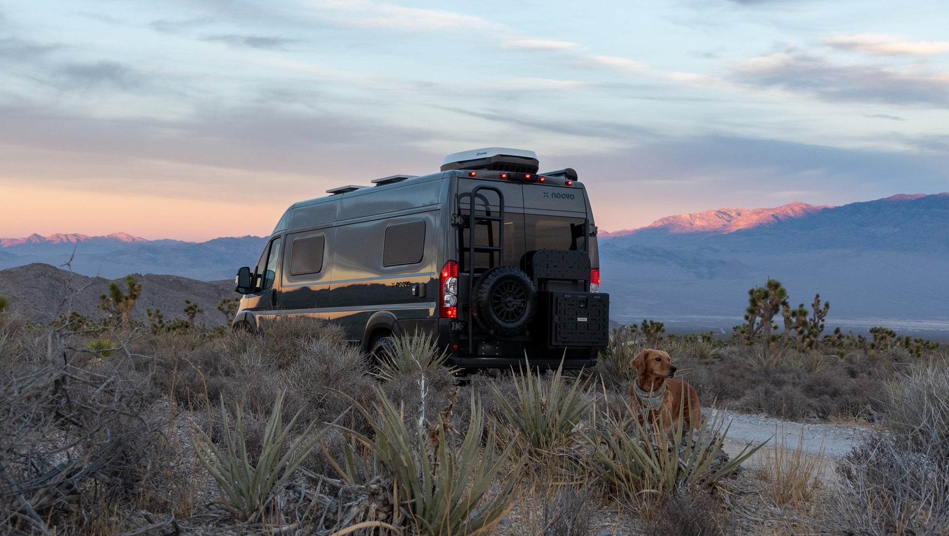 Rover Vans Ladder & Tire Carrier (Ram Promaster)