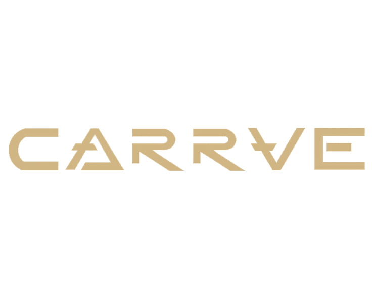 CARRVE-CUSTOM-VANS.jpg