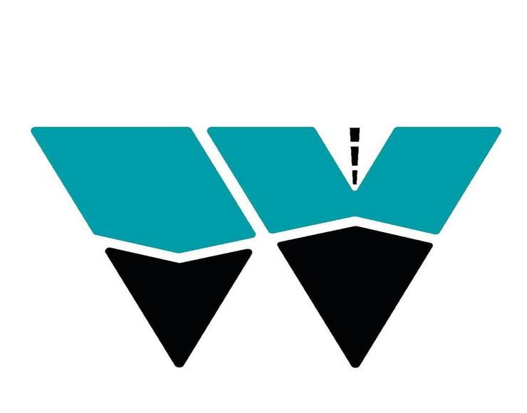 WAYFARER-VANS-Copy.jpg