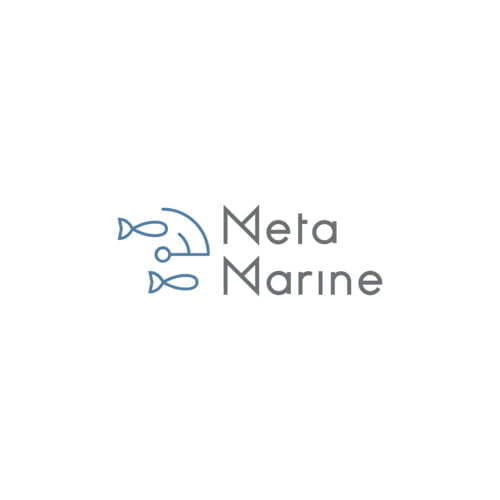 logo_size