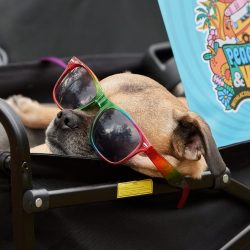 0296-peace_love_vans_2024-scaled